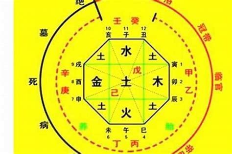 五行喜木火|如何确定自己的八字喜用神